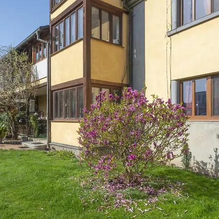 Apartman Mlyn-osvracin *