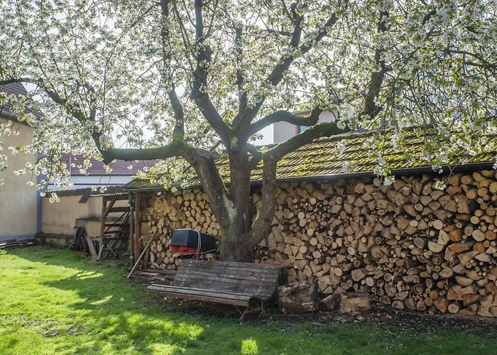 Mlyn-osvracin Lejlighed