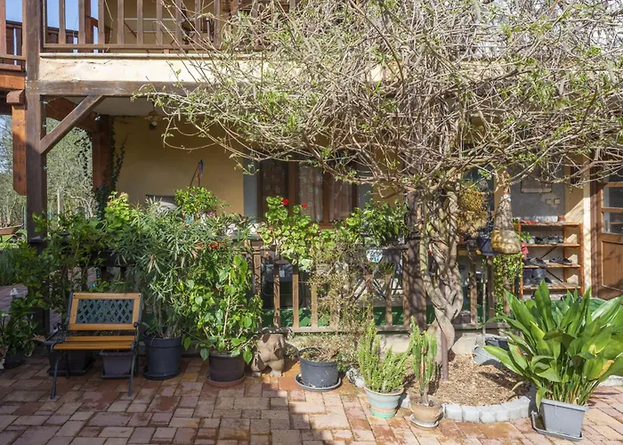 Mlyn-osvracin Osvracin